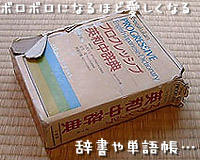 ボロボロの辞書